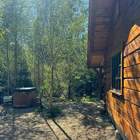 Authentic Log In Forest Near Ejstrupholm *